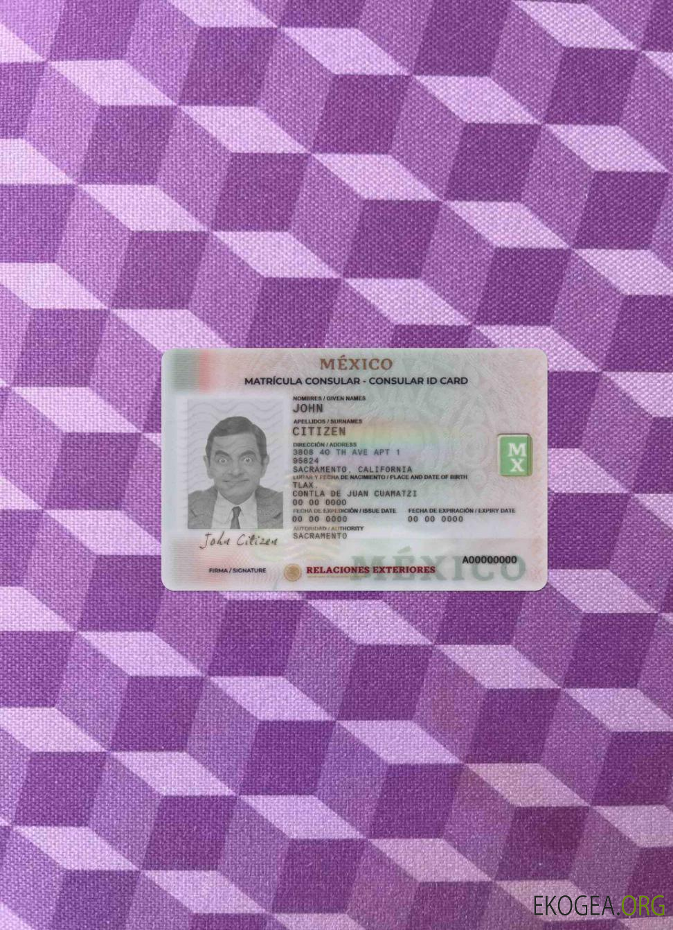 Photolook de la carte d'identité consulaire du Mexique AVANT